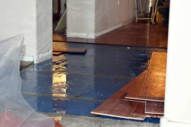 Professional Water Extraction technician working in Junction City, OH